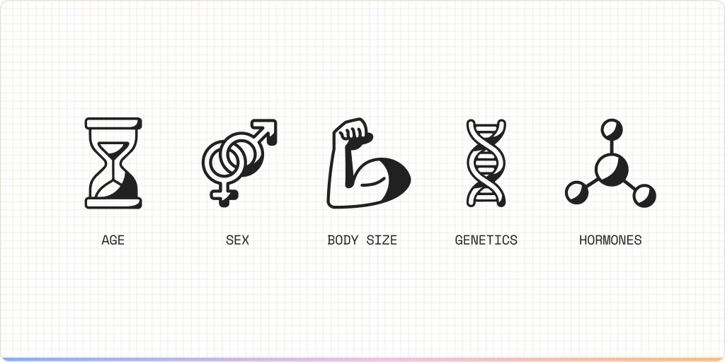 BMR_asset002