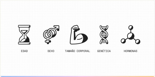 BMR_asset002_ES