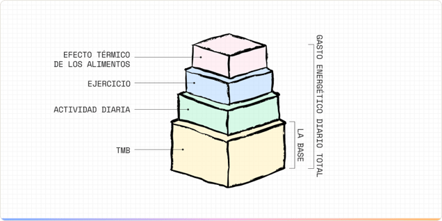 BMR_asset004_ES